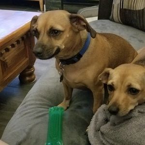 Meet your Posher, William